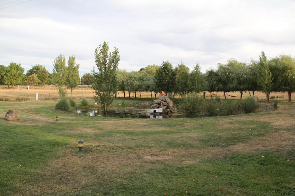 O Pelicano Bed and Breakfast Alfaiates Zewnętrze zdjęcie